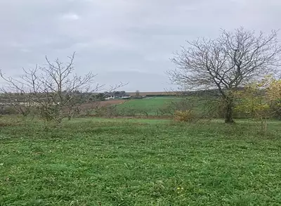 Maison neuve, 79 m²