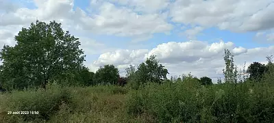 Terrain à bâtir, 5 174 m²