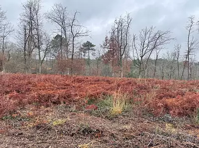 Terrain à bâtir, 1 500 m²