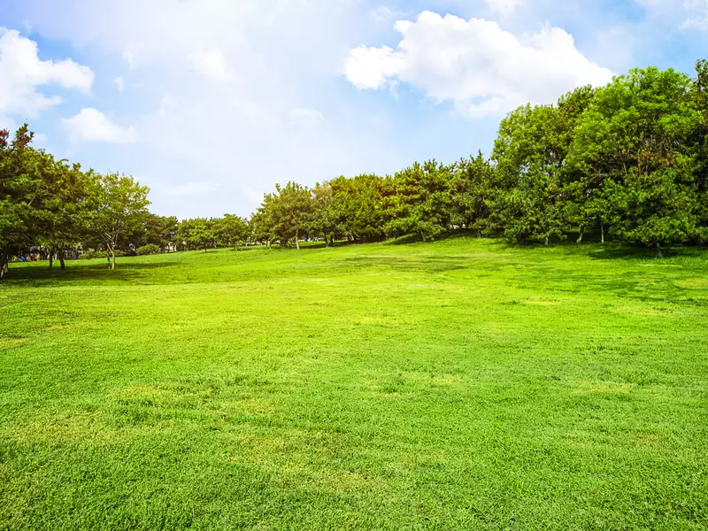 Terrain à bâtir, 802 m² - Mâcon (71000)