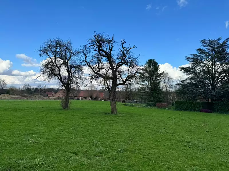 Terrain à bâtir, 462 m² - Thumeries (59239)