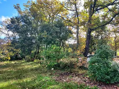 Terrain à bâtir, 1 000 m²