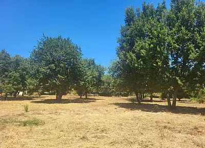 Maison neuve, 98 m²