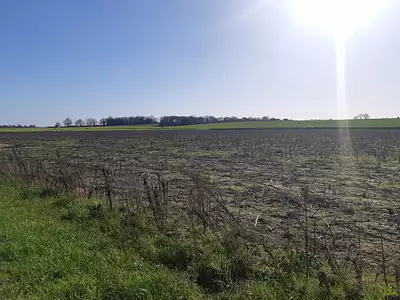 Terrain à bâtir, 447 m²