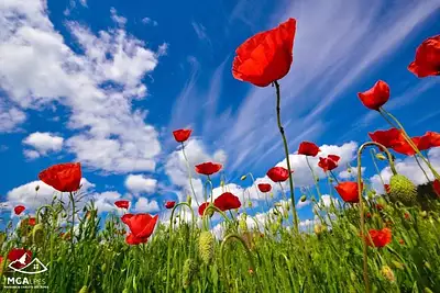 Maison neuve, 99 m²