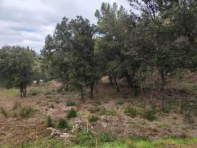 Terrain à bâtir, 930 m²