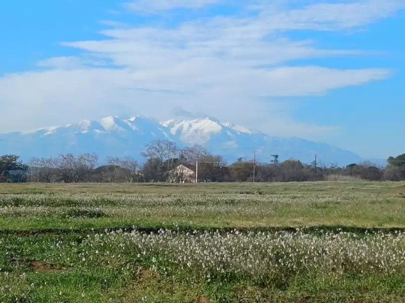 Terrain à bâtir, 1 115 m² - Villeneuve-de-la-Raho (66180)