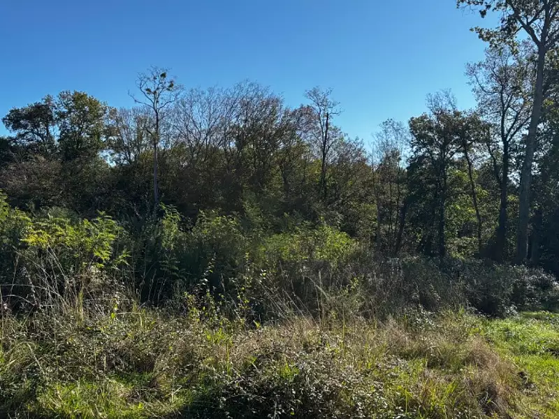 Terrain à bâtir, 1 000 m² - Tresses (33370)