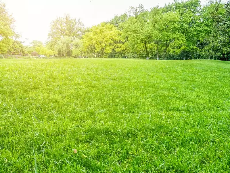 Terrain à bâtir, 645 m² - Beaulieu-sous-la-Roche (85190)