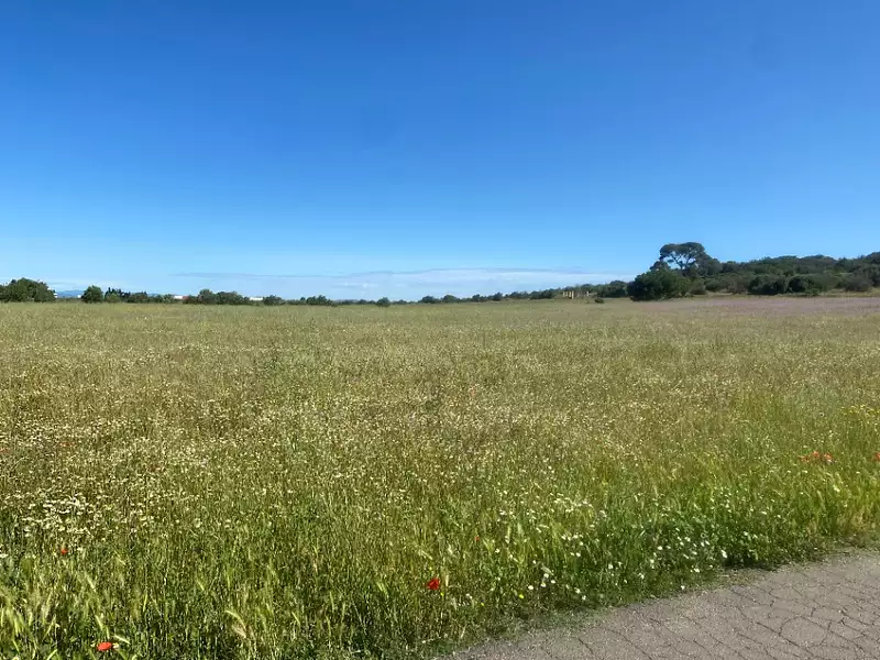 Maison neuve, 90 m² - Bessan (34550)