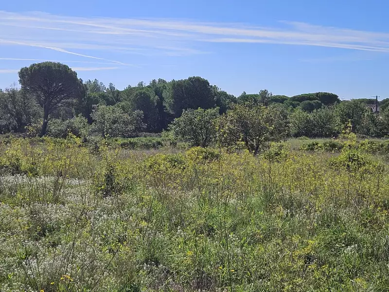 Maison neuve, 73 m² - Puget-sur-Argens (83480)