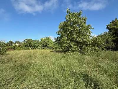 Maison neuve, 100 m²