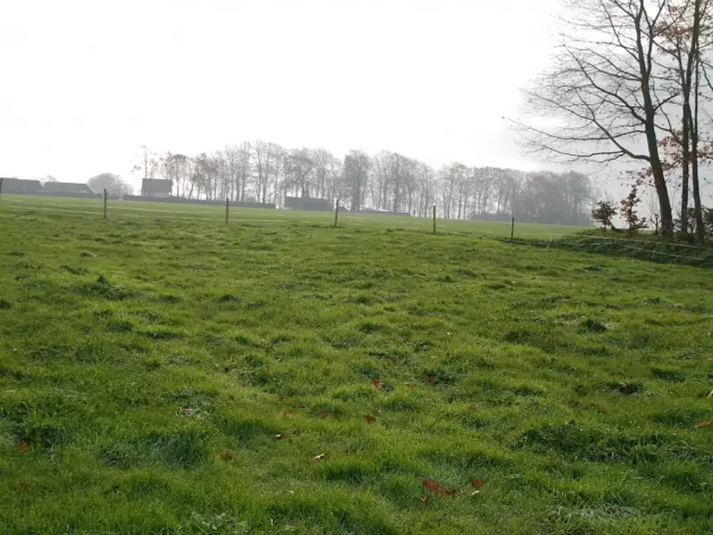 Terrain à bâtir, 1 550 m² - Aureville (31320)