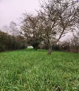 Maison neuve, 132 m²