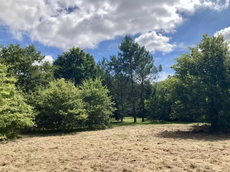 Terrain à bâtir, 501 m² - Le Taillan-Médoc (33320)