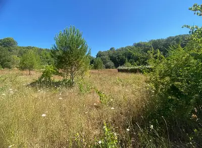 Maison neuve, 100 m²