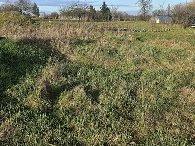 Terrain à bâtir, 1 591 m²