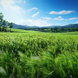 Maison neuve, 130 m²