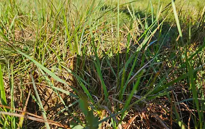 Maison neuve, 85 m²