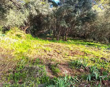 Maison neuve, 90 m²