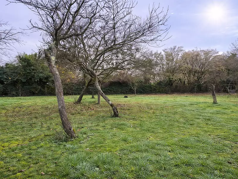 Terrain à bâtir, 734 m² - Draveil (91210)
