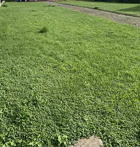 Terrain à bâtir, 261 m²