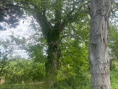 Maison neuve, 73 m²