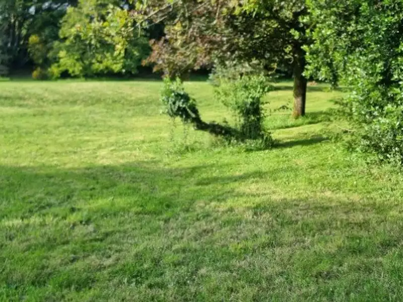 Terrain à bâtir, 750 m² - Vergeroux (17300)