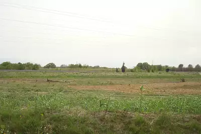 Maison neuve, 70 m²