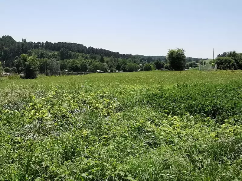 Maison neuve, 126 m² - Montagnac-d'Auberoche (24210)