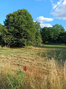 Terrain à bâtir, 361 m²