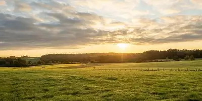 Maison neuve, 98 m²