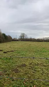 Maison neuve, 85 m²