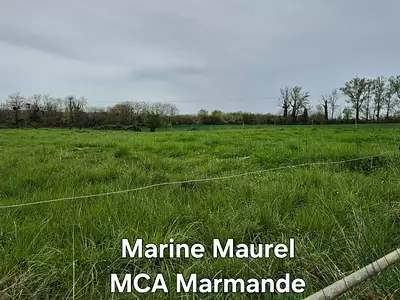 Maison neuve, 115 m²