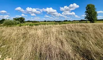 Terrain à bâtir, 1 113 m²