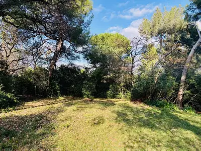 Terrain à bâtir, 769 m²