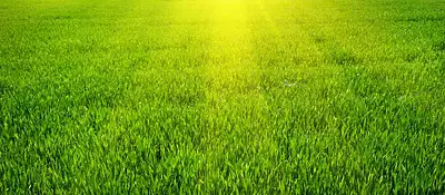 Maison neuve, 134 m²