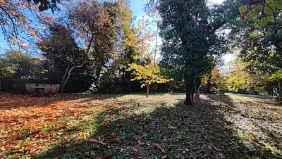 Maison neuve, 99 m²