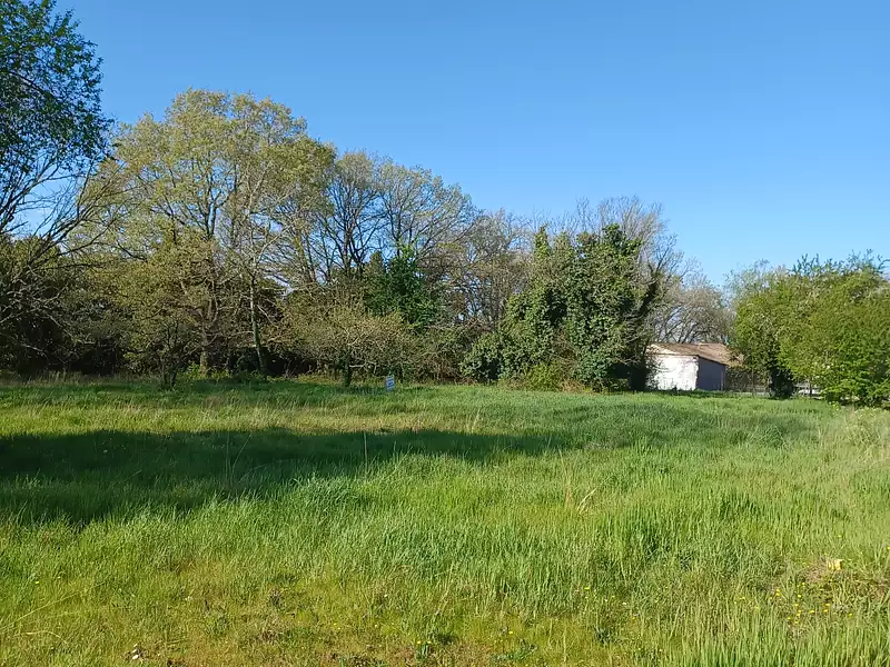 Maison neuve, 49 m² - Cussac-Fort-Médoc (33460)
