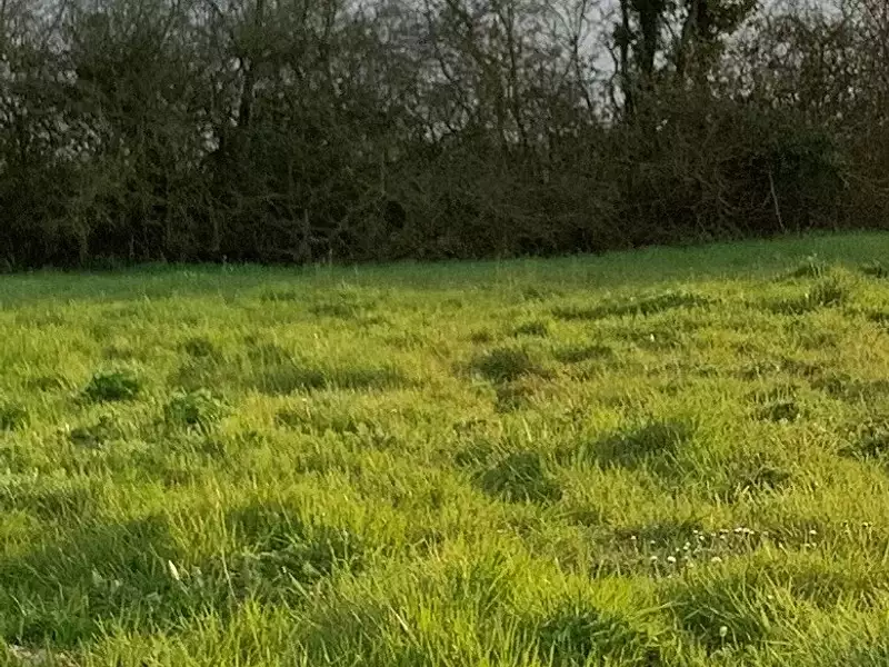 Maison neuve, 91 m² - Canéjan (33610)