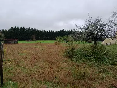 Maison neuve, 110 m²