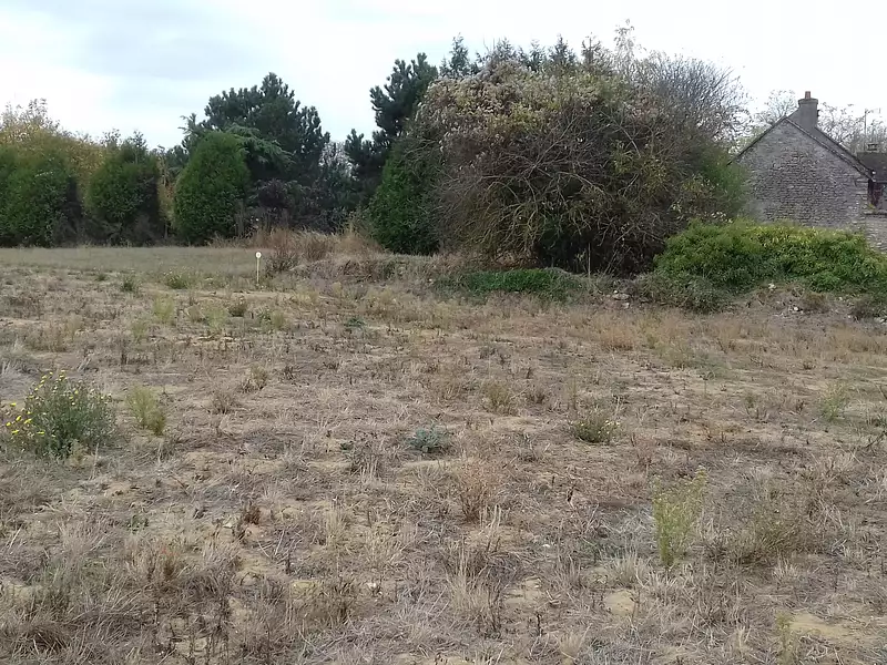 Terrain à bâtir, 656 m² - Gondreville (45490)