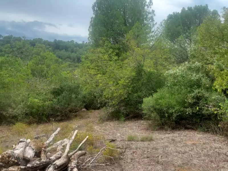 Maison neuve, 90 m² - Camps-la-Source (83170)