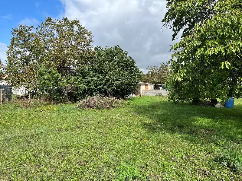 Terrain à bâtir, 700 m² - Albi (81000)