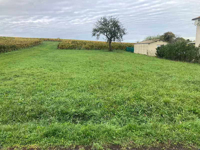 Maison neuve, 132 m² - Saint-Sauveur-de-Puynormand (33660)