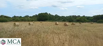Terrain à bâtir, 1 400 m²