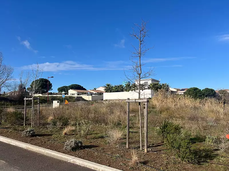 Maison neuve, 81 m² - Saint-Thibéry (34630)