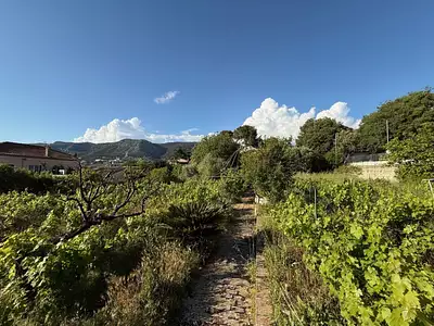 Maison neuve, 85 m²