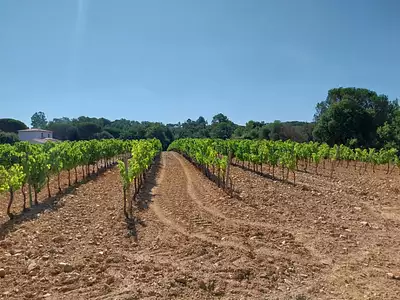 Terrain à bâtir, 544 m²