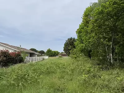 Terrain à bâtir, 1 443 m²